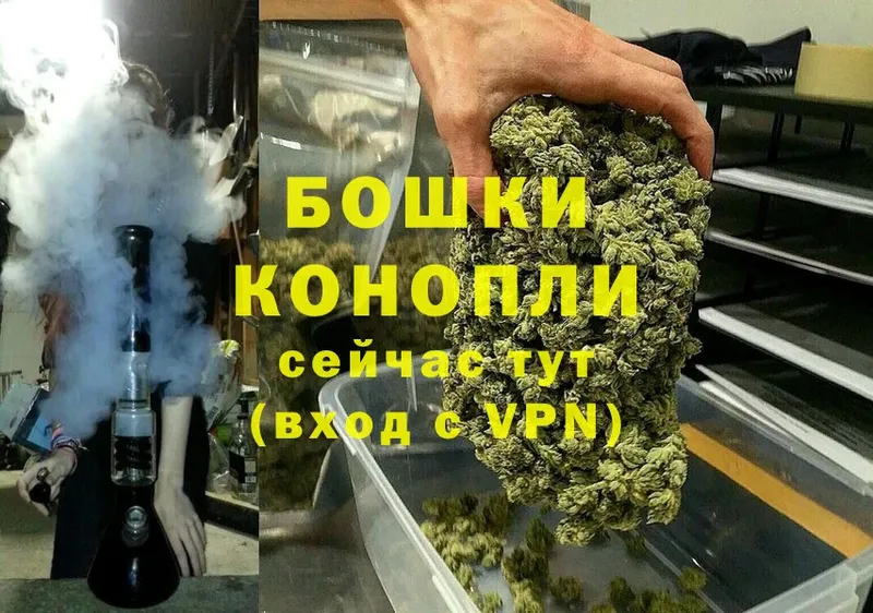 Бошки марихуана OG Kush  магазин  наркотиков  Агидель 